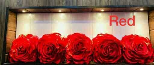 Satin Cushion Covers Combo