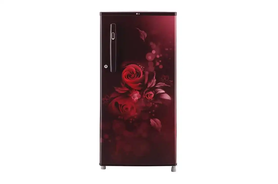 LG Fast Ice Making, Refrigerators 190L,Toughened Glass Shelves(GL-B199OSEC)