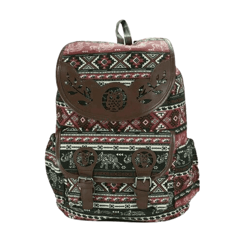 Femmelia Canvas Printed Backpacks