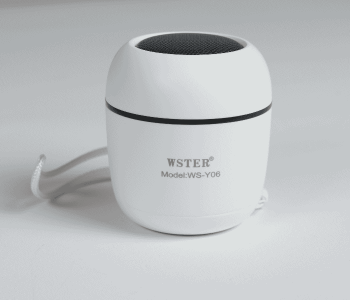 Wster WS-Y06 Wireless Stereo Speaker - White