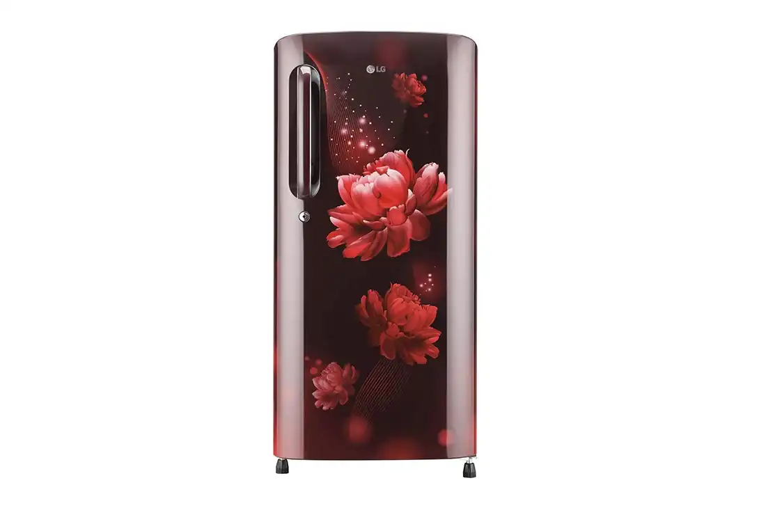 LG Toughened Glass Shelves Refrigerators (GL-B201ASCD) 190 L