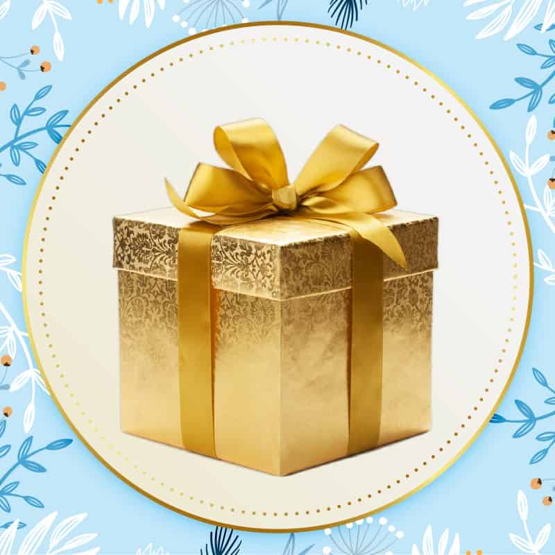 Gift & festival Special