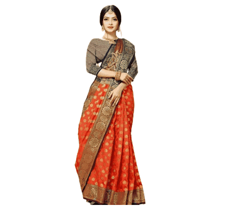 Trendy Women's Banarasi silk sarees